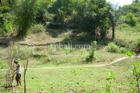 1092m2 Land in Indonesia No. 13358 6
