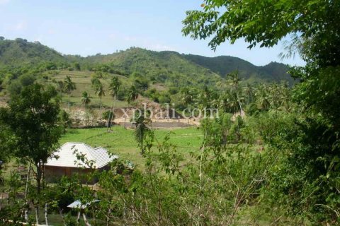 1092m2 Land in Indonesia No. 13358 4