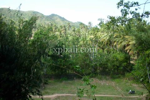 1092m2 Land in Indonesia No. 13358 3