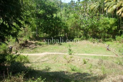 1092m2 Land in Indonesia No. 13358 2