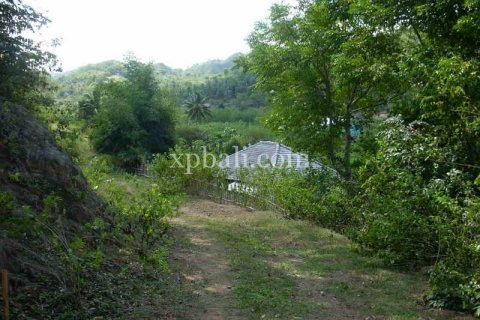 1092m2 Land in Indonesia No. 13358 5