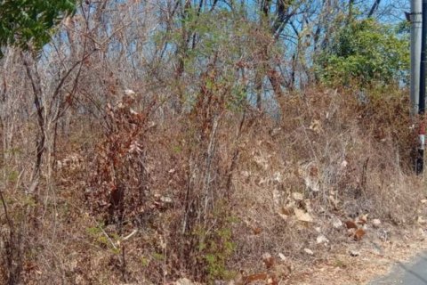 900m2 Land in Lovina, Anturan, Buleleng, Indonesia No. 13354 5