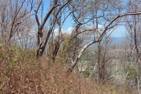 900m2 Land in Lovina, Anturan, Buleleng, Indonesia No. 13354 3