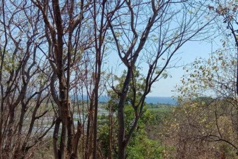 900m2 Land in Lovina, Anturan, Buleleng, Indonesia No. 13354 6