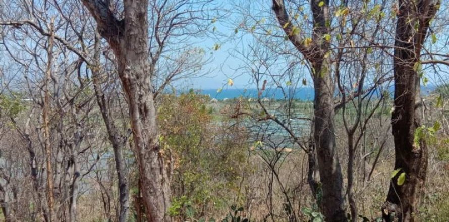 900m2 Land in Lovina, Anturan, Buleleng, Indonesia No. 13354