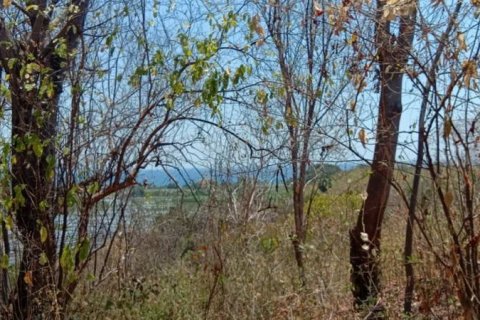 900m2 Land in Lovina, Anturan, Buleleng, Indonesia No. 13354 2