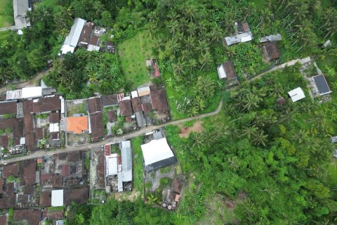 2460m2 Land in Gianyar, Indonesia No. 9672 6