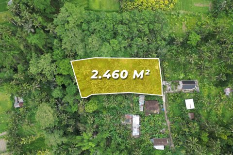 2460m2 Land in Gianyar, Indonesia No. 9672