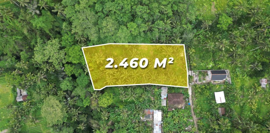 2460m2 Land in Gianyar, Indonesia No. 9672