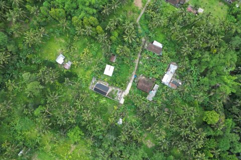 2460m2 Land in Gianyar, Indonesia No. 9672 4
