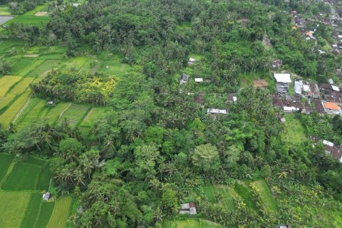 2460m2 Land in Gianyar, Indonesia No. 9672 5