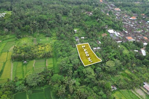 2460m2 Land in Gianyar, Indonesia No. 9672 3