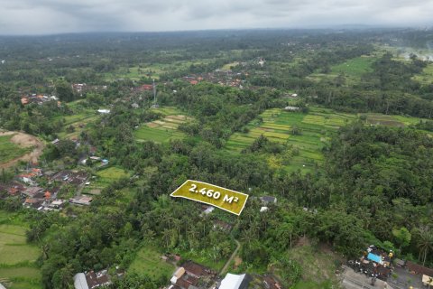 2460m2 Land in Gianyar, Indonesia No. 9672 7