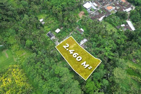 2460m2 Land in Gianyar, Indonesia No. 9672 2