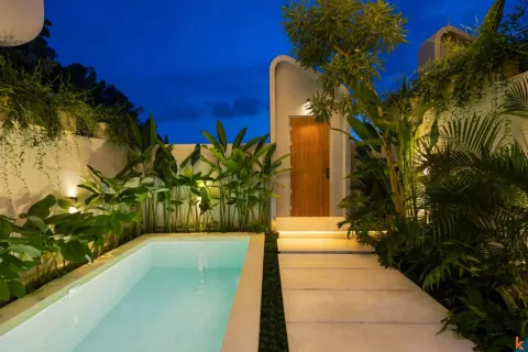 2 bedrooms Villa in Badung, Indonesia No. 10768 3