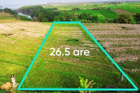 Земельный участок 2650м2 в Tabanan, Табанан, Индонезия № 11417 3