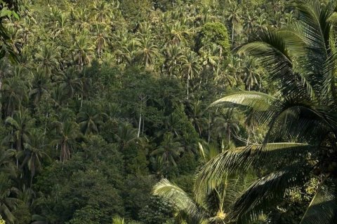 4 bedrooms Villa in Tabanan,  No. 9475 15