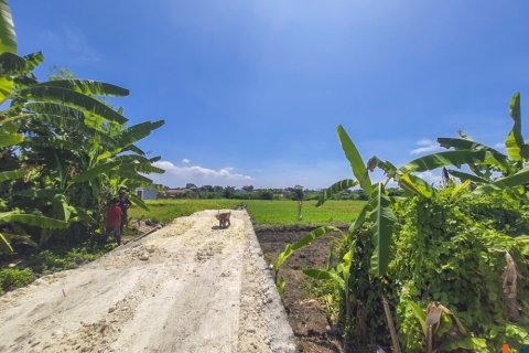 Land in Munggu, Mengwi, Badung, Indonesia No. 10544 5
