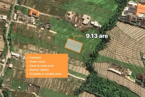 Land in Munggu, Mengwi, Badung, Indonesia No. 10544