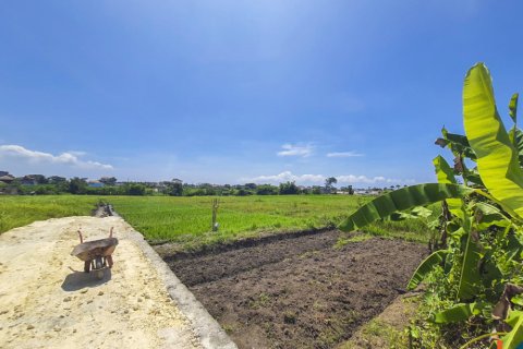 Land in Munggu, Mengwi, Badung, Indonesia No. 10544 3