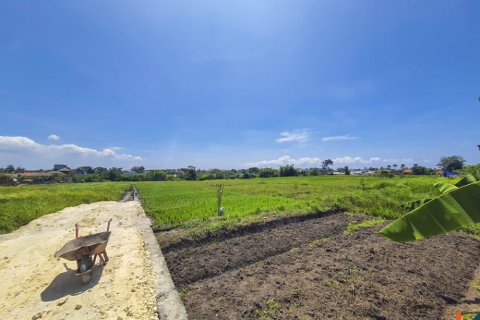 Land in Munggu, Mengwi, Badung, Indonesia No. 10544 6
