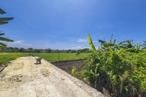 Land in Munggu, Mengwi, Badung, Indonesia No. 10544 4