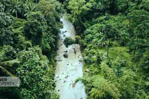 1500m2 Land in Tabanan,  No. 9307 3