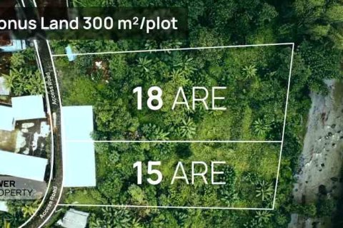 1500m2 Land in Tabanan,  No. 9307 1