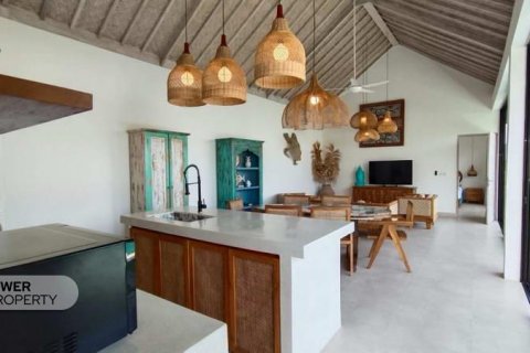 2 bedrooms Villa in Canggu, Badung,  No. 9304 13