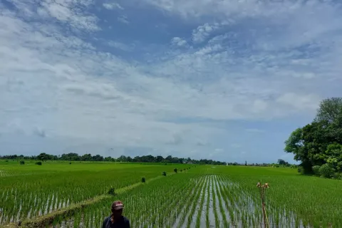 Land in Kediri, Indonesia No. 13492