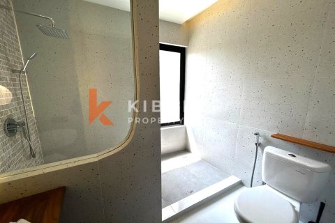2 bedrooms Villa in Seminyak, Badung, Indonesia No. 12258 16