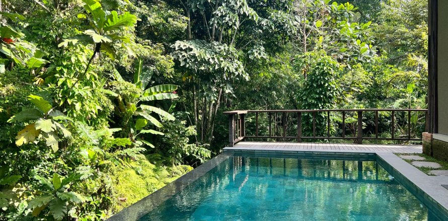 Studio Villa in Ubud, Gianyar, Indonesia No. 13717