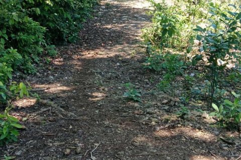 1430m2 Land in South Kuta, Badung, No. 9311 1