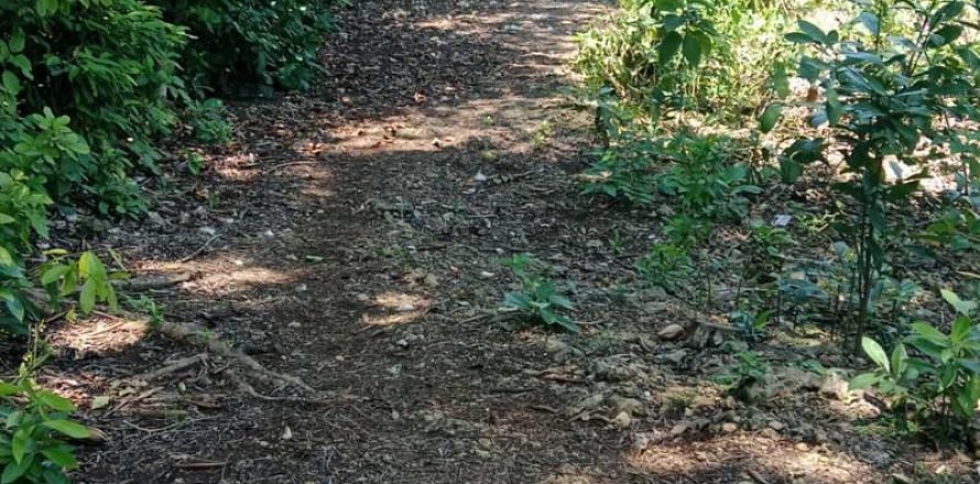 1430m2 Land in South Kuta, Badung, No. 9311