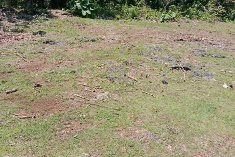 1430m2 Land in South Kuta, Badung, No. 9311 12