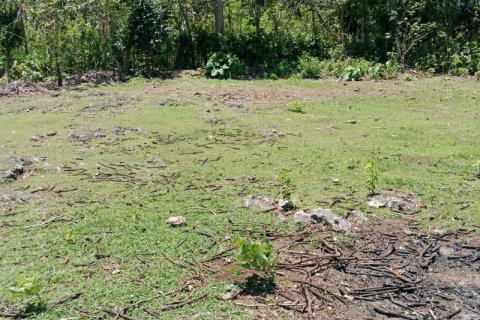 1430m2 Land in South Kuta, Badung, No. 9311 3