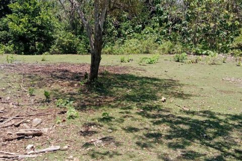 1430m2 Land in South Kuta, Badung, No. 9311 7