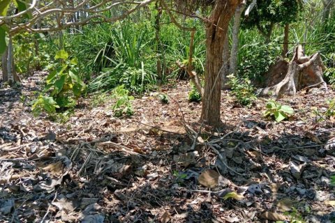 1430m2 Land in South Kuta, Badung, No. 9311 11