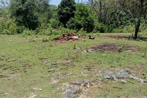 1430m2 Land in South Kuta, Badung, No. 9311 9