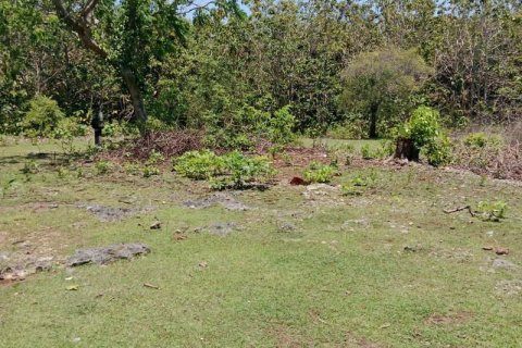 1430m2 Land in South Kuta, Badung, No. 9311 6