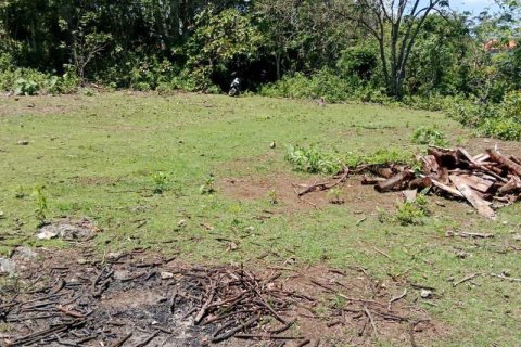 1430m2 Land in South Kuta, Badung, No. 9311 5