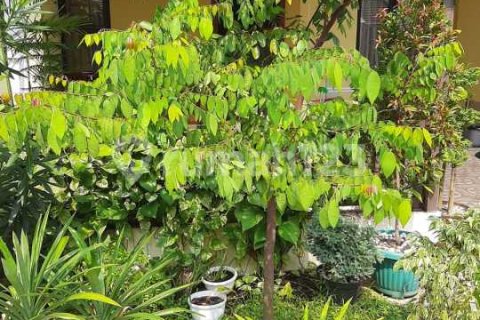 3 bedrooms House in Pasar Kemis, Tangerang, Indonesia No. 13418 4