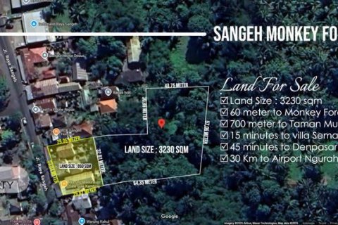 3230m2 Land in Abiansemal, Badung, Indonesia No. 8864 4