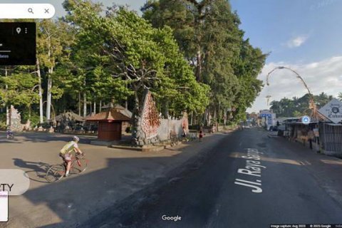 3230m2 Land in Abiansemal, Badung, Indonesia No. 8864 2