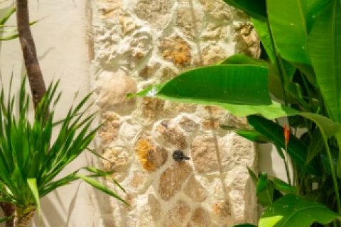 Вилла с 2 спальнями в Canggu, Бадунг, Индонезия № 8869 23