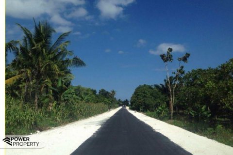 220000m2 Land in Indonesia No. 8826 4