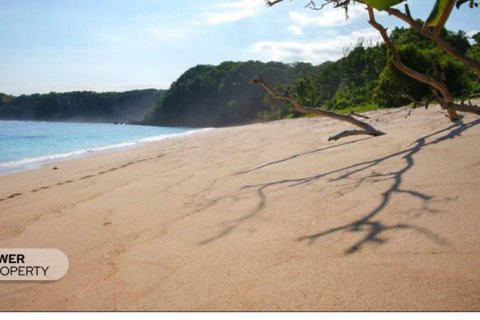 220000m2 Land in Indonesia No. 8826 1