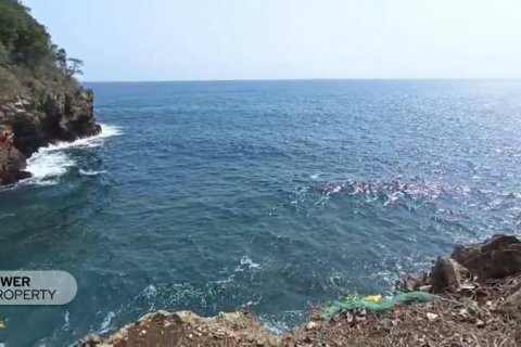 Земельный участок 20000м2 в Индонезии № 8825 3