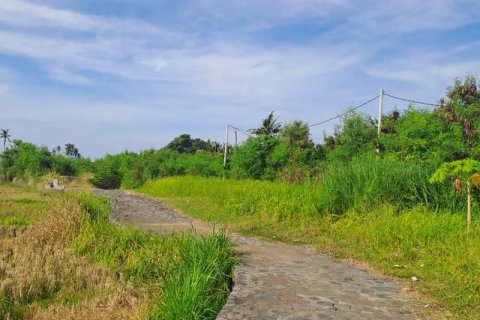 Вилла с 3 спальнями в Gianyar, Гианьяр,  № 8824 30