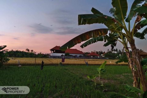 Вилла с 3 спальнями в Lovina, Антуран, Булеленг,  № 8951 1